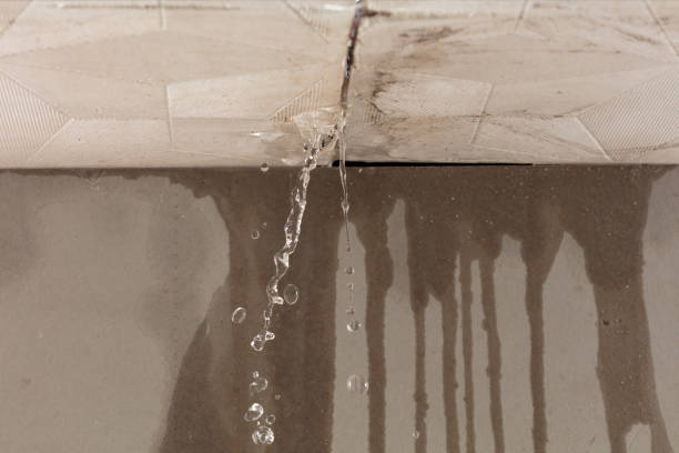 Professional Flood Damage Cleanup technician working in Waterman, IL